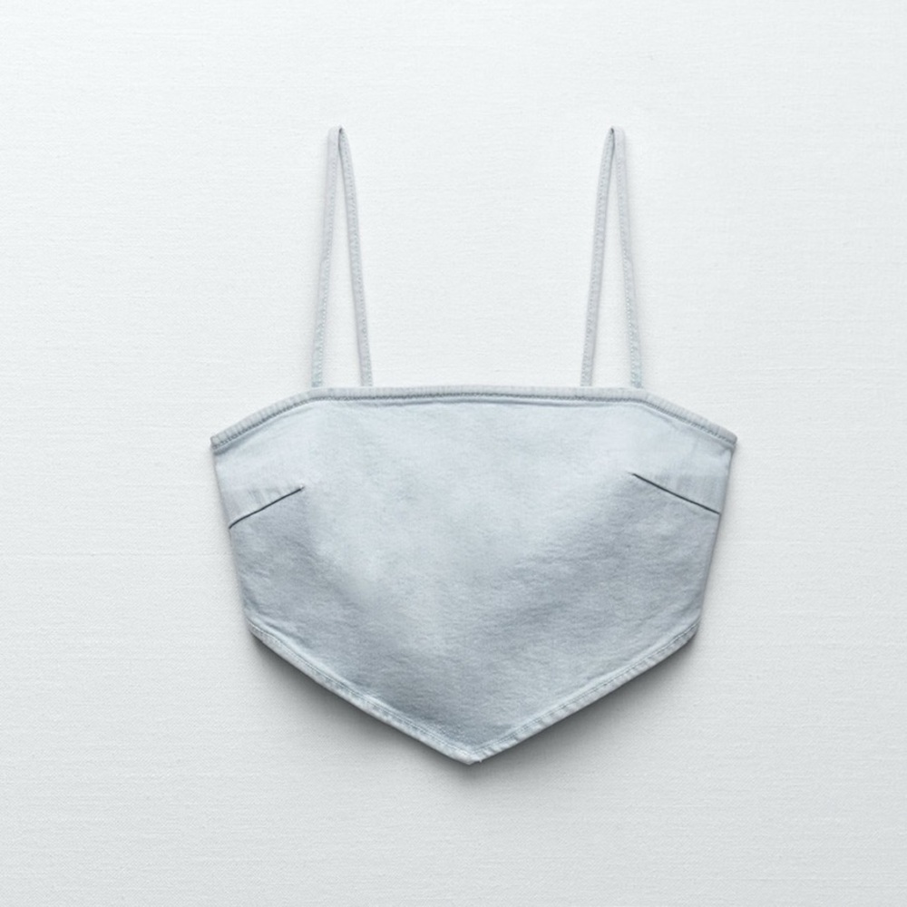 Zara crop top